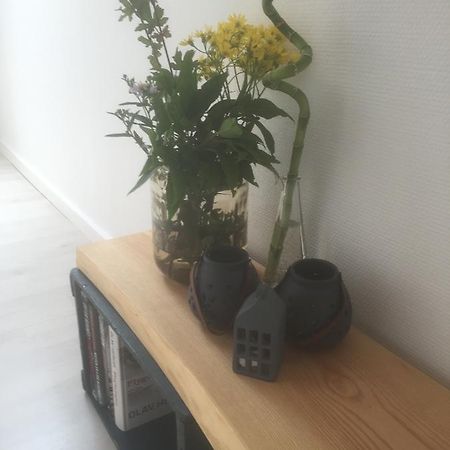 Skovlunds Bed & Breakfast Hojene Dış mekan fotoğraf